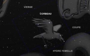 Corbeau