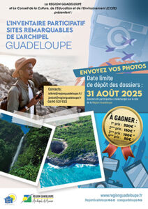 Affiche Concours photos 