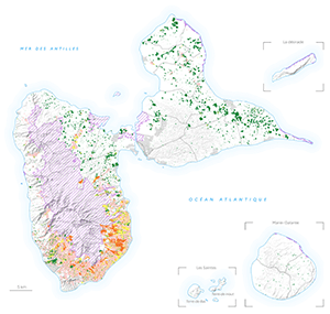 Carte pollution chlordécone